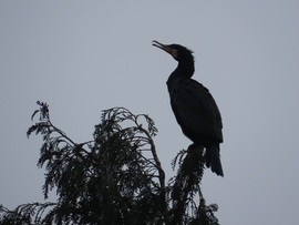 Sikerült megkapaszkodnom!