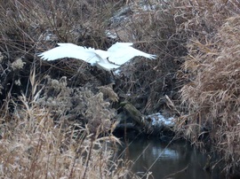 Landoláshoz felkészülni!