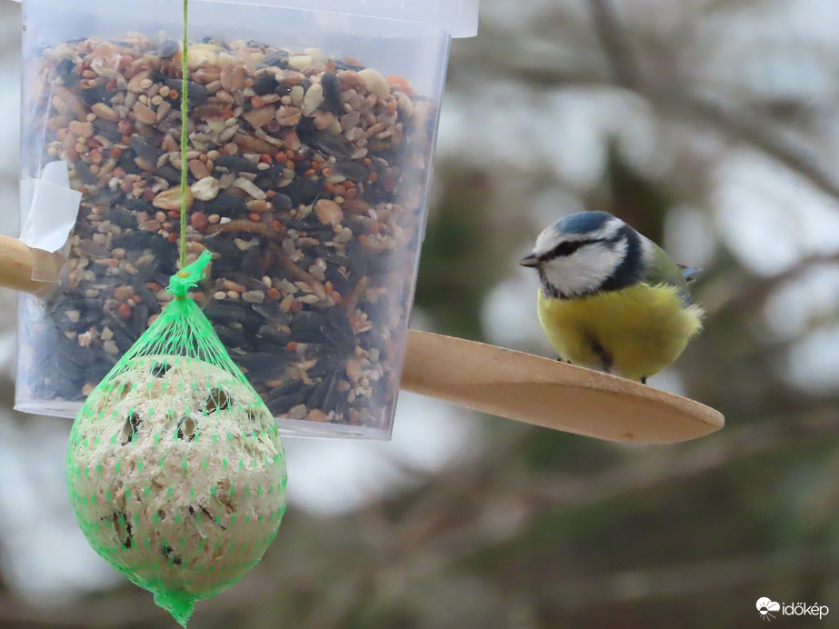 Jééé...! Megint került bele!