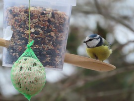 Jééé...! Megint került bele!