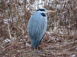 Ma is kellett a suba!