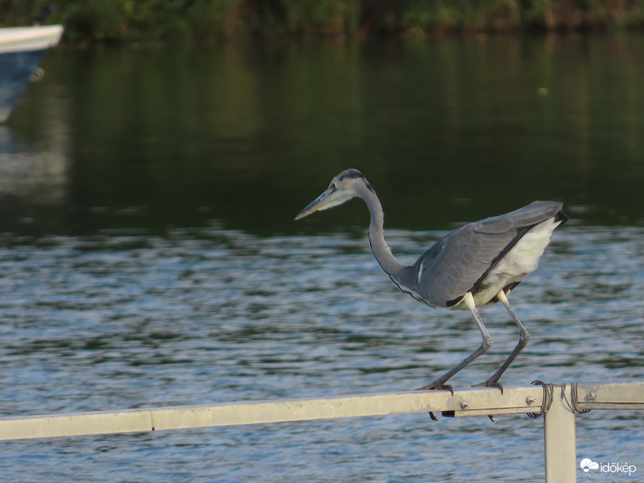 Térdhajlítás, hogy felmelegedjek!