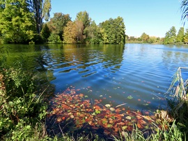 Csónakázó-tó, Szombathely