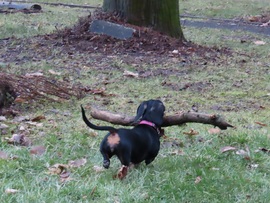 Nem adom senkinek, elfutok vele!