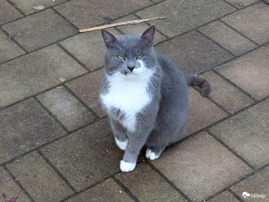 Meddig álljak itt? Fázik a talpam!