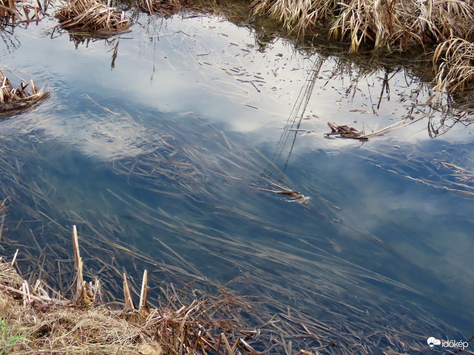 Az ég kékje a patak vizében