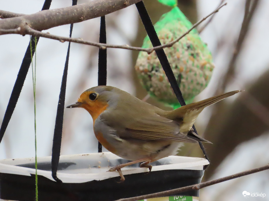 Megnézem, mit hoztál!