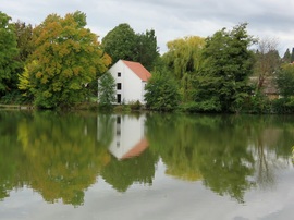 Színek a Horgásztónál