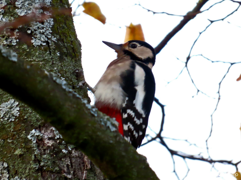 Nekem vasárnap is dolgoznom kell!