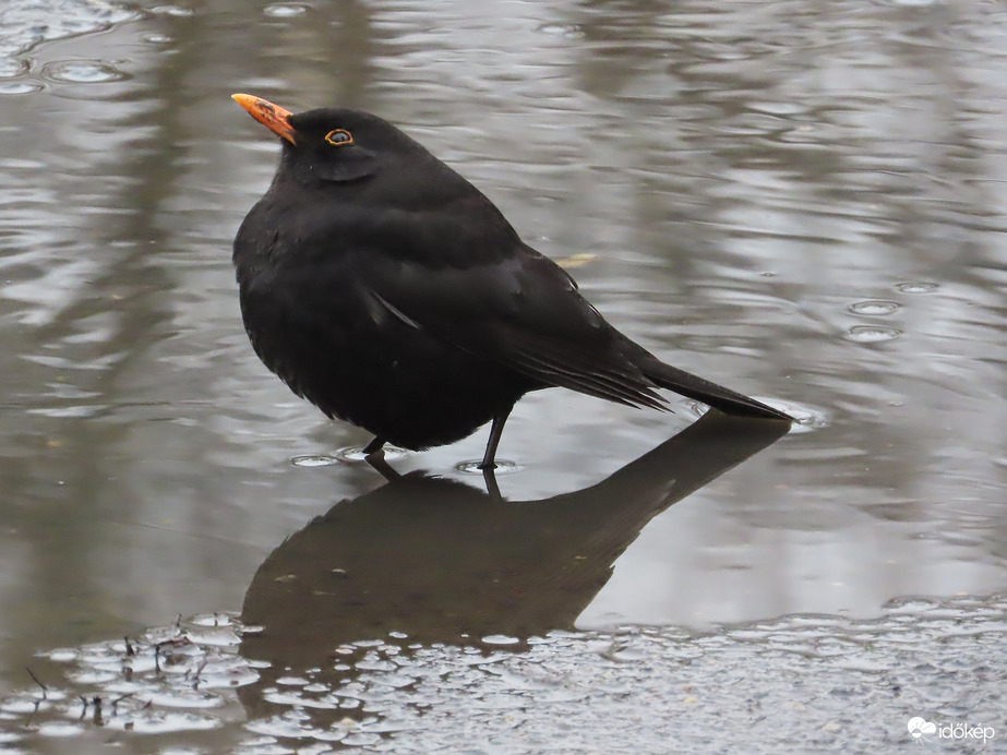 Vajon megfürödjek?