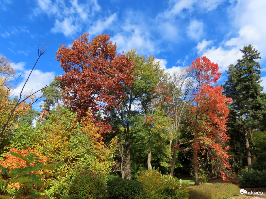 Őszi délután a Kámoni Arborétumban