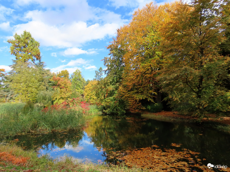 Őszi délután a Kámoni Arborétumban
