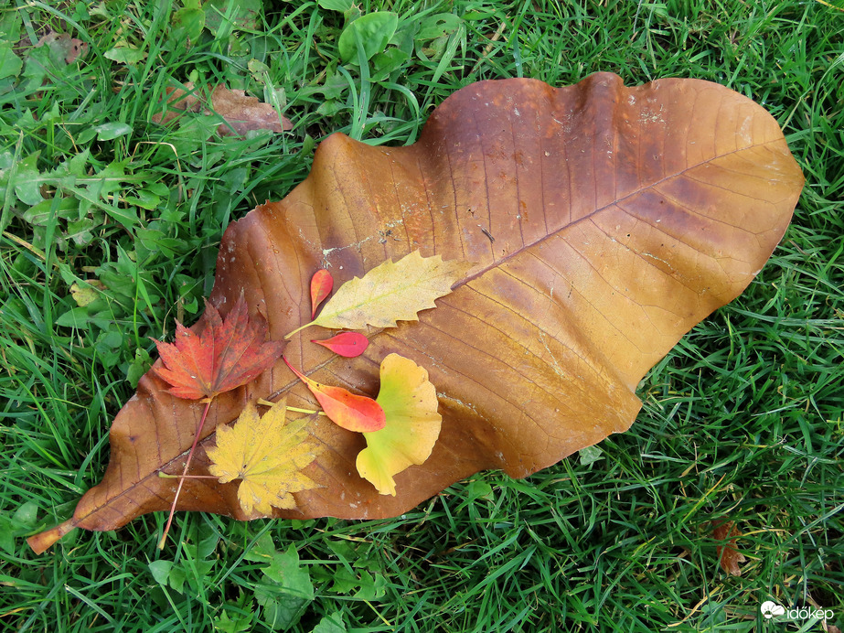 Őszi délután a Kámoni Arborétumban