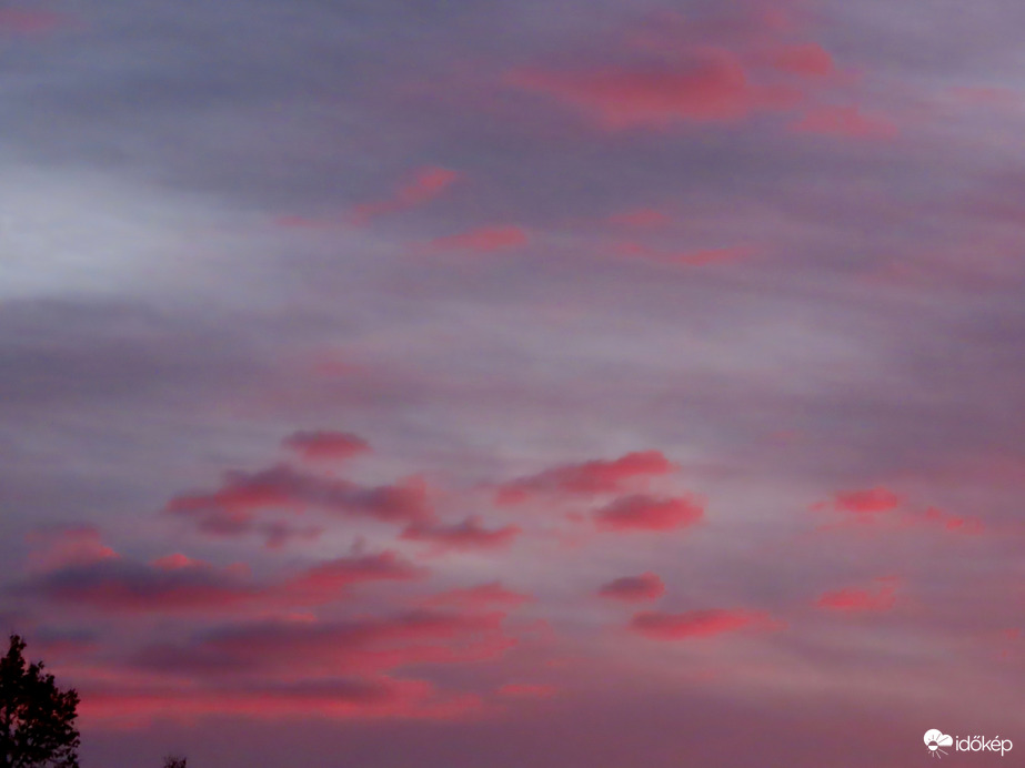 Rózsaszín pamacsok a magasban