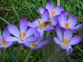 Szorgos munka folyik