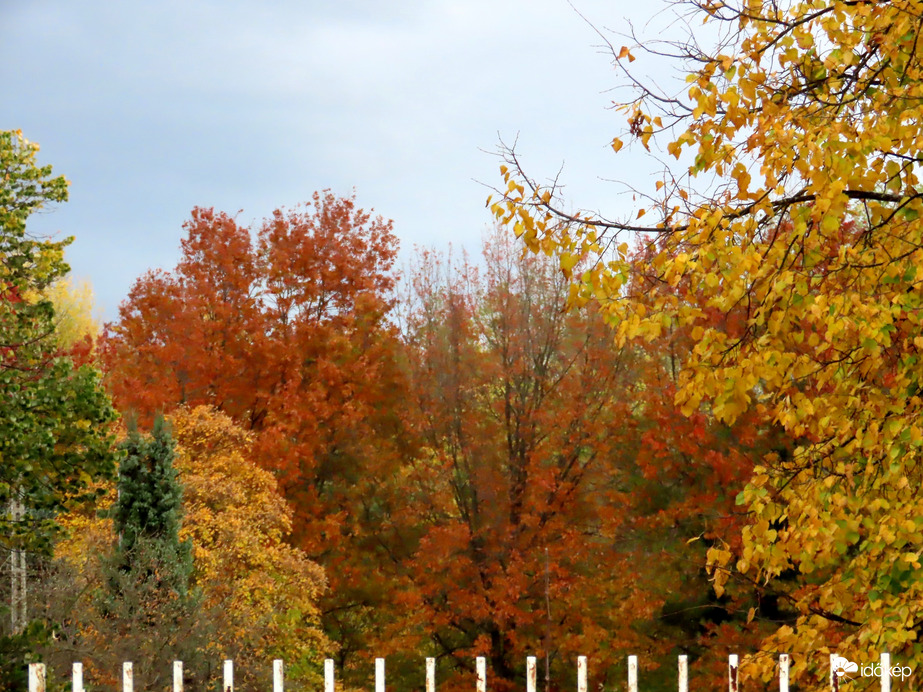 Az ősz színei