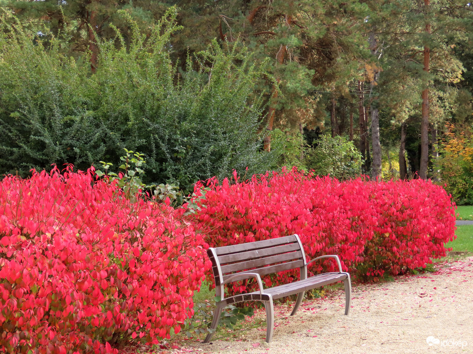 Hangulatos pihenőhely