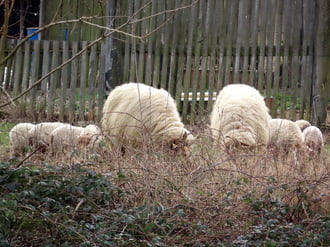 Ketten az ifjú nemzedékkel