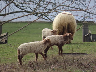 Sietünk a többiek után