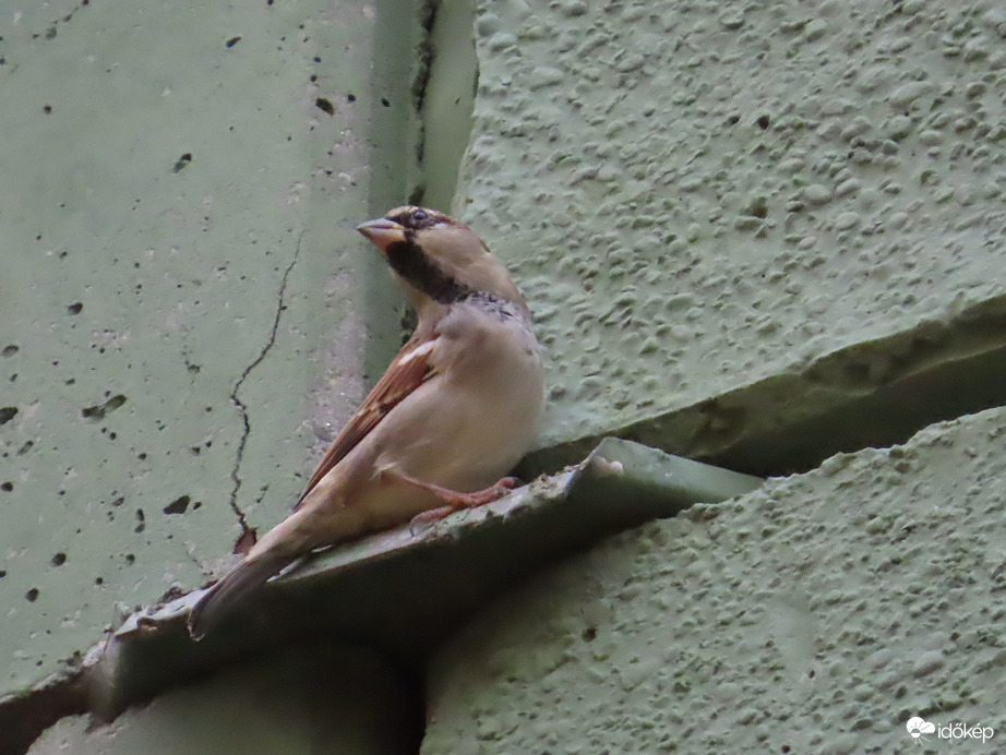 Innen mindent jól látok!