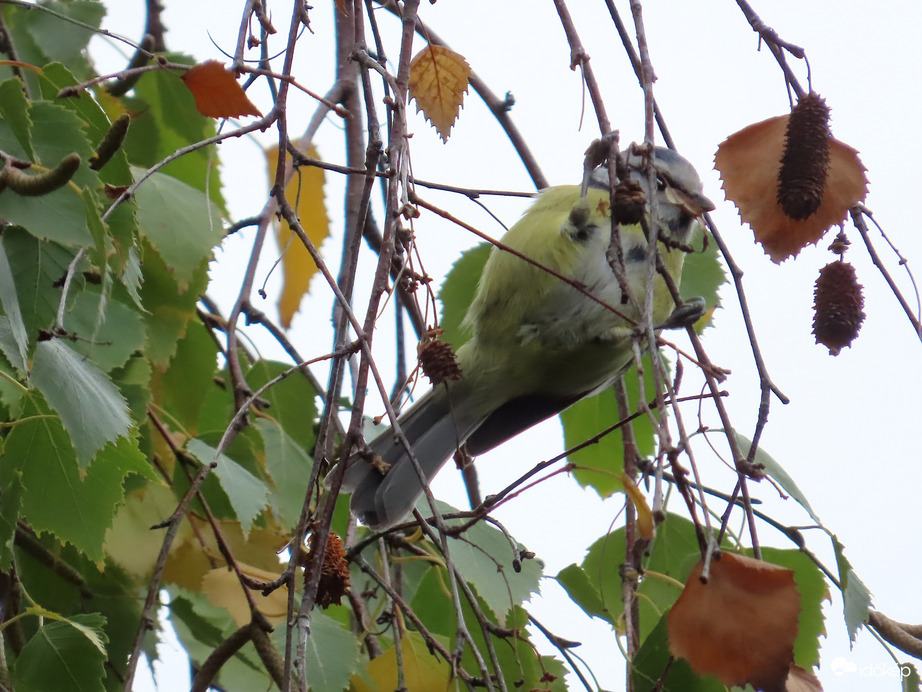 Jól megkapaszkodtam!
