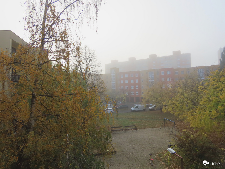 Hirtelen leereszkedett a köd