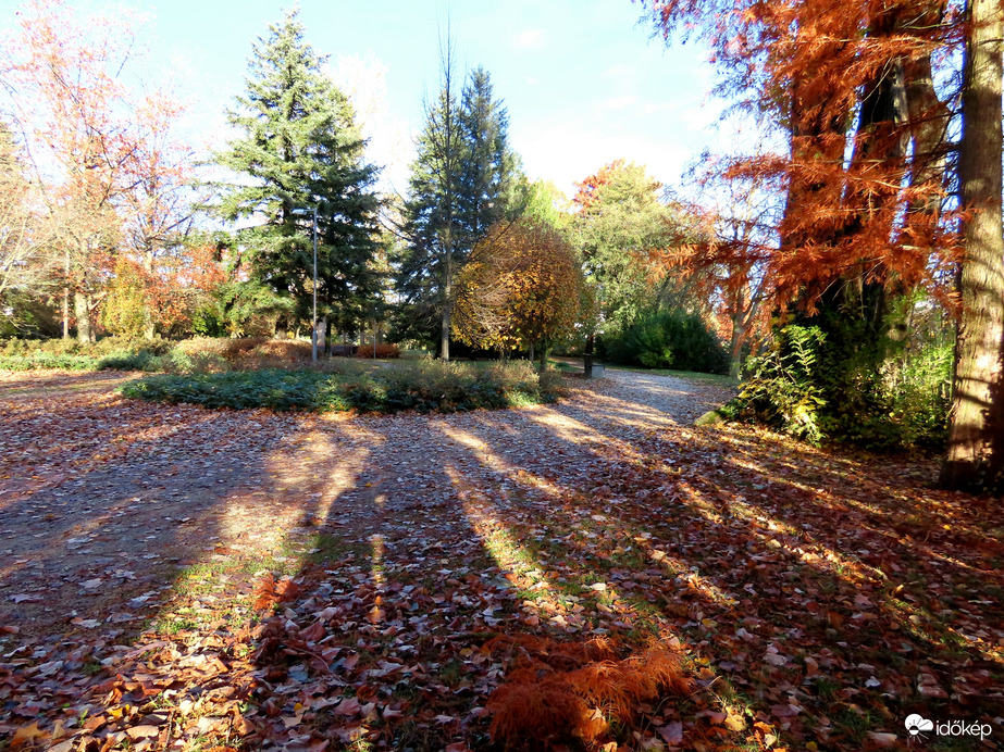 Árnyékok és fények a Csónakázó-tó szigetén