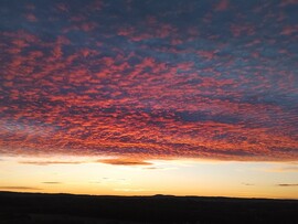 Budapest IV.ker - Káposztásmegyer