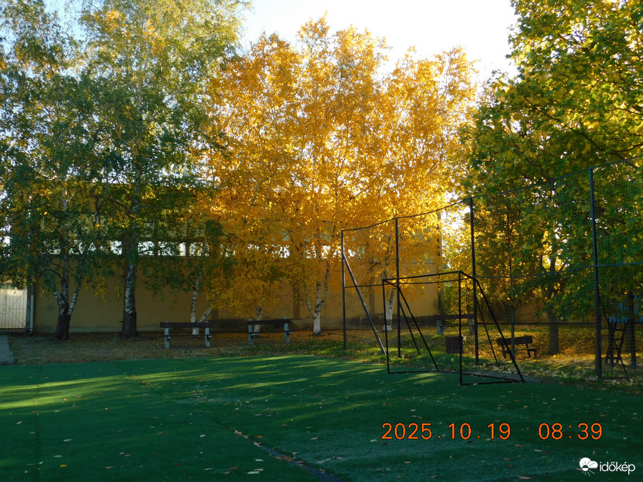 Társaim még nem érzik az ősz eljövetelét, így versenybe szálltunk.