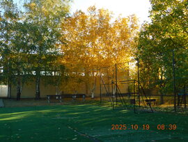 Társaim még nem érzik az ősz eljövetelét, így versenybe szálltunk.