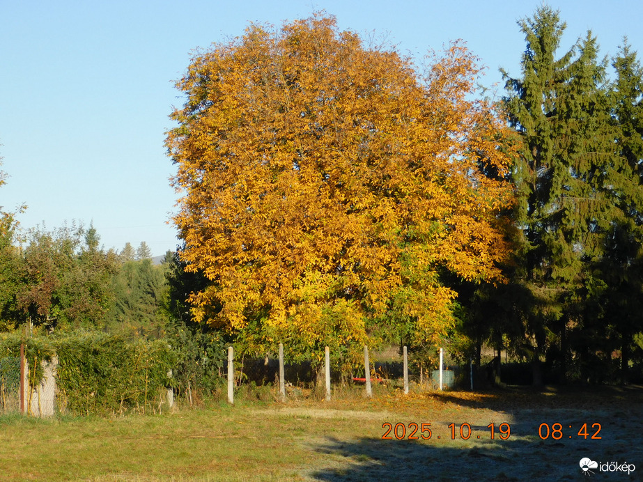 Itt van az ősz, itt van újra.