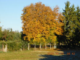 Itt van az ősz, itt van újra.