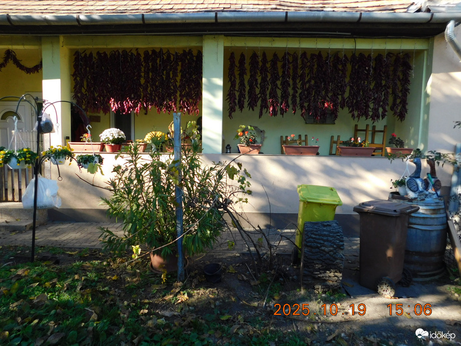 Fűszerpaprika száritása.