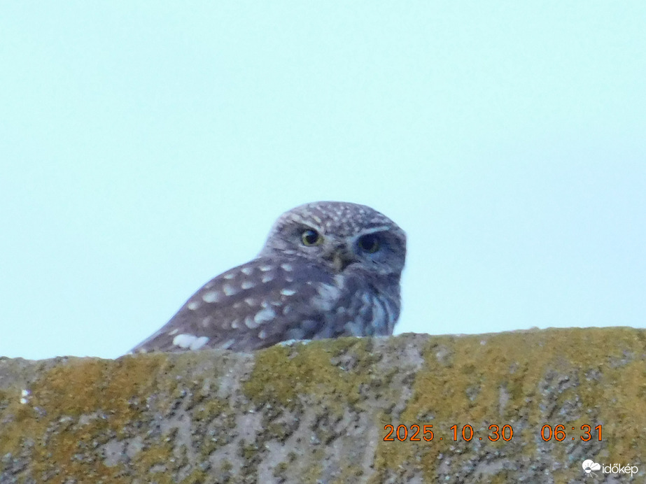 Ez az idő már kedvemre való