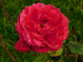 Rám nem hatott a hideg idő.