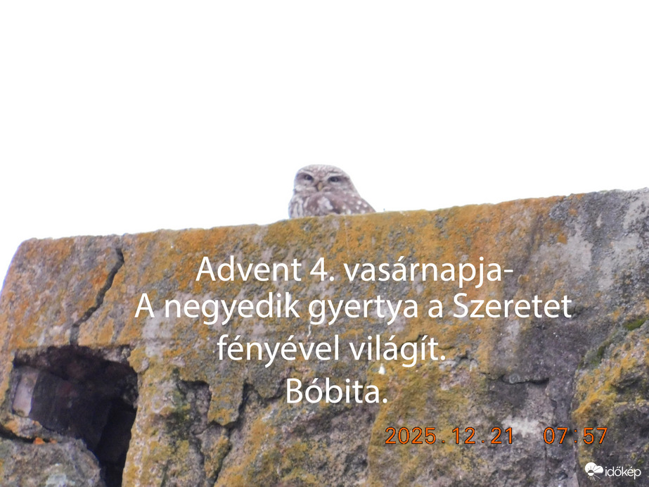 Advent 4. vasárnapja. A negyedik gyertya a Szeretet fényével világít.