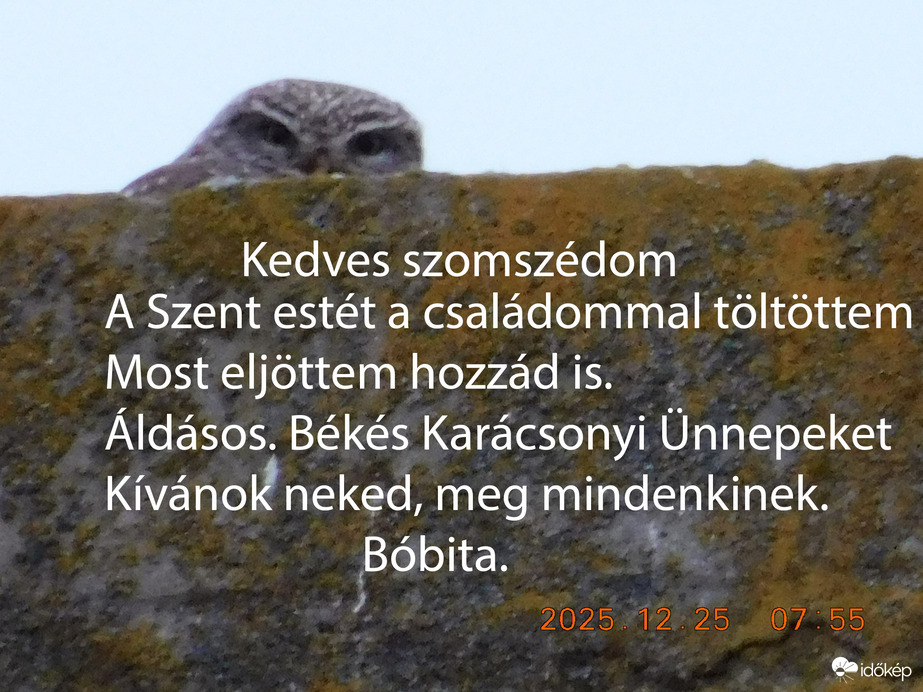 Kellemes Karácsonyi ünnepeket kívánunk mindenkinek, Bóbita és Lajos