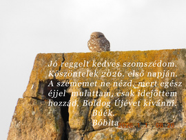 BÚÉK. Mindenkinek. Bóbita egész éjjel mulatott, de nem feledkezett meg rólam.