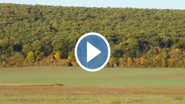 A vécsi erdő is érzi már az ősz közeledtét, lassan átöltözik.