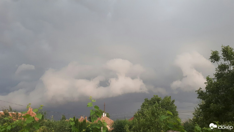 Észlelési fényképek