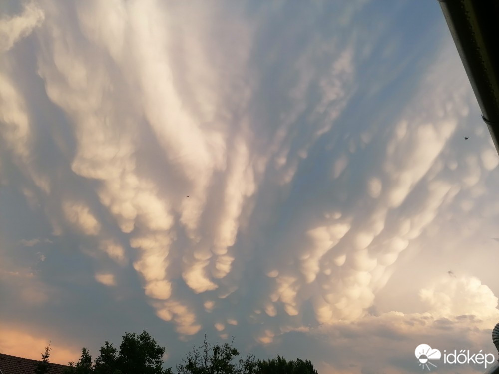 Észlelési fényképek