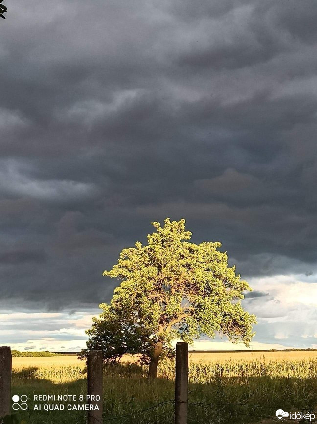 Észlelési fényképek