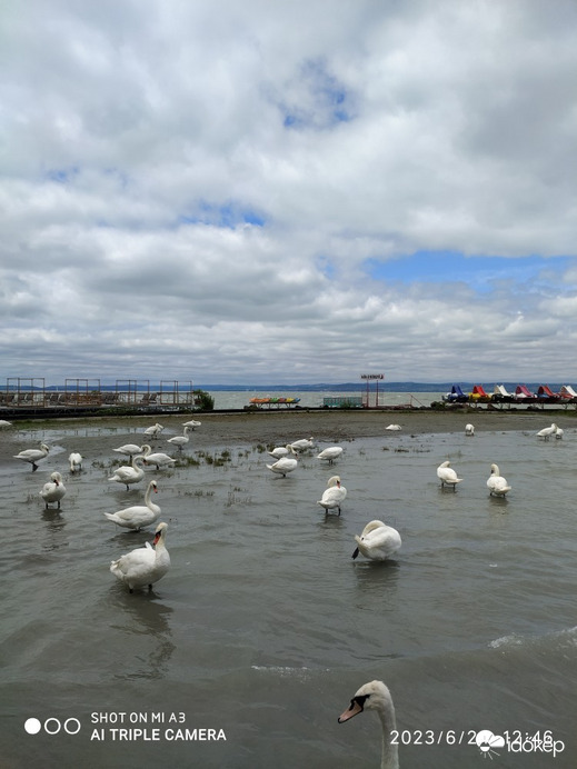 Siófok
