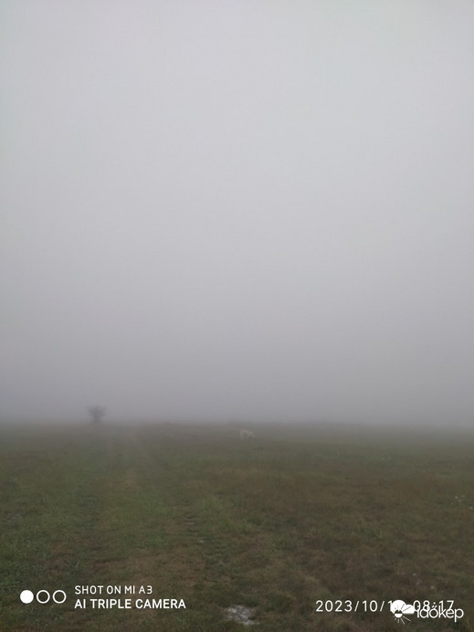 Zámoly