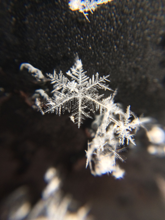 Hódmezővásárhely