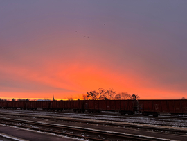 Hódmezővásárhely