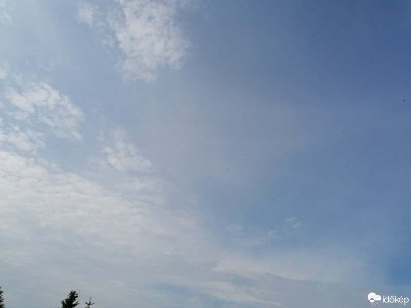 Észlelési fényképek