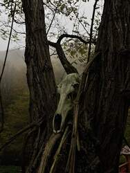 Halloweenra várva