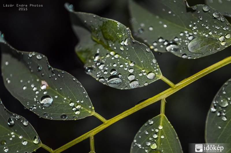 Az elmúlt hét egy képbe sűrítve
