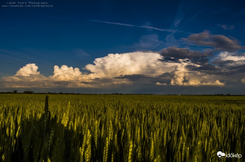 Szépség június elején